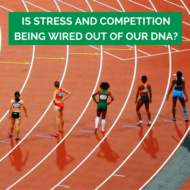 Is Stress and Competition Being Wired Out of Our DNA?